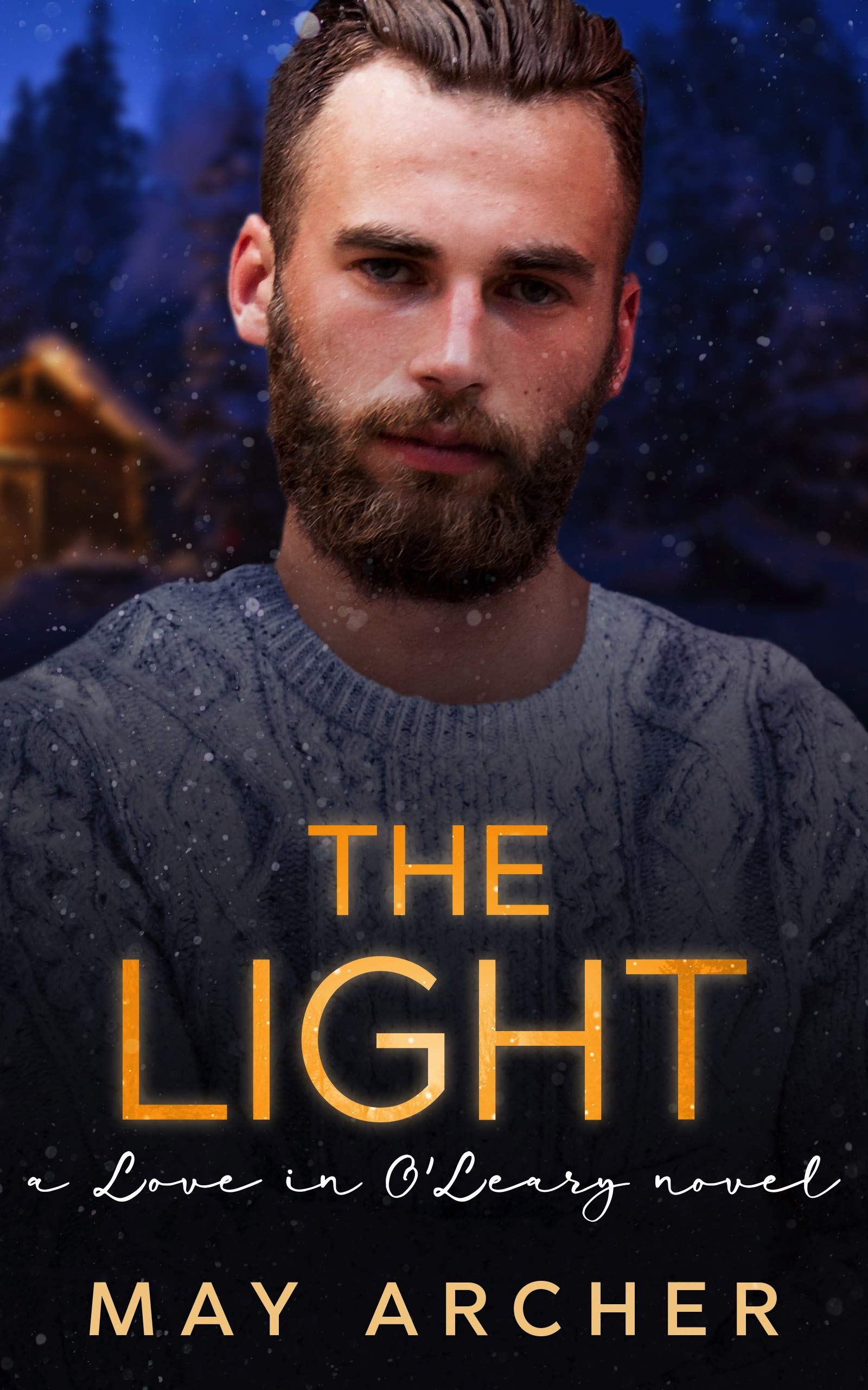 The Light book cover