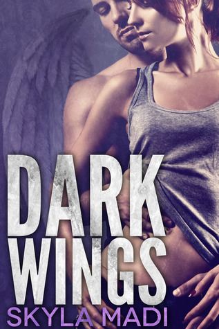 The Never Dark book cover 1