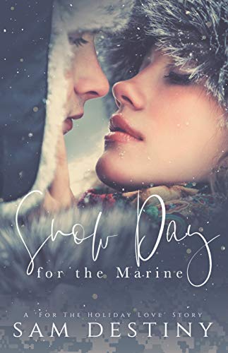 For The Holiday Love book cover 1