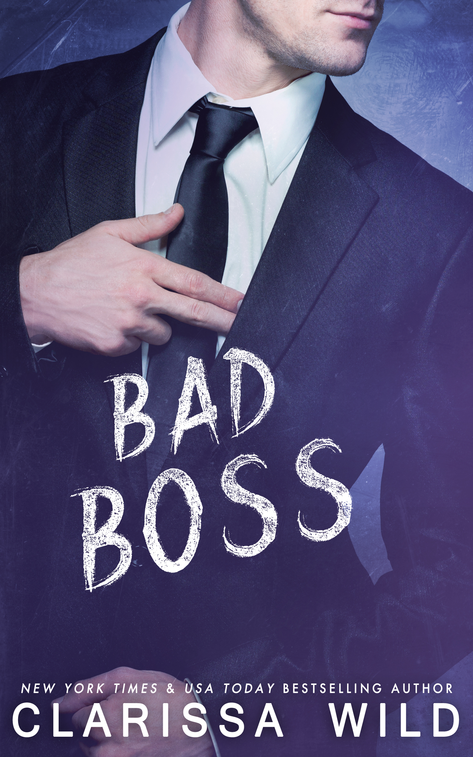 Unprofessional Bad Boys book cover 2