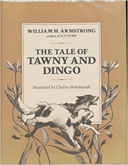 The Tale of Tawny and Dingo book cover