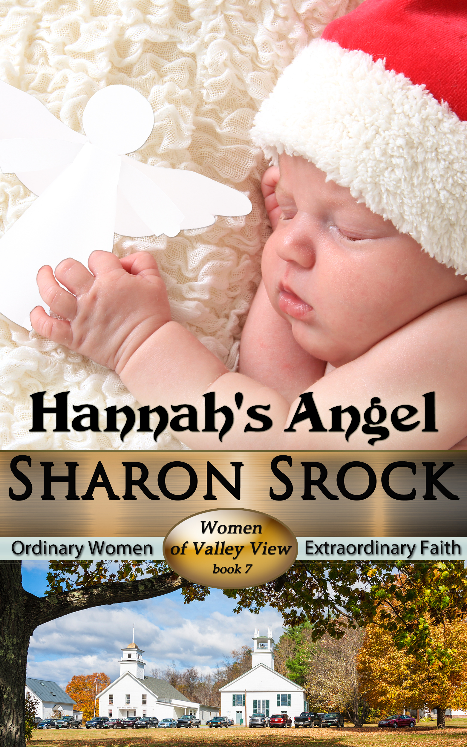 Hannah's Angel book cover