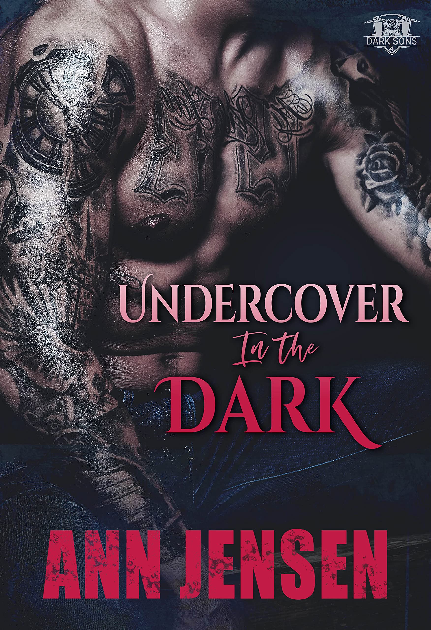 Undercover in the Dark book cover