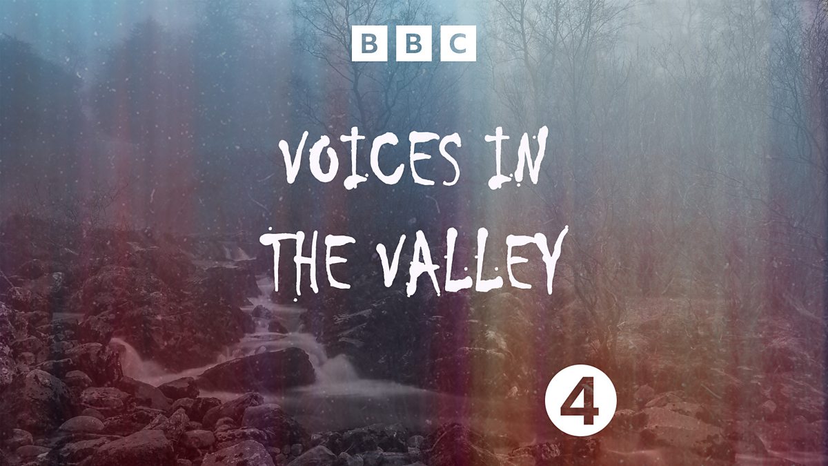 Voices in the Valley book cover