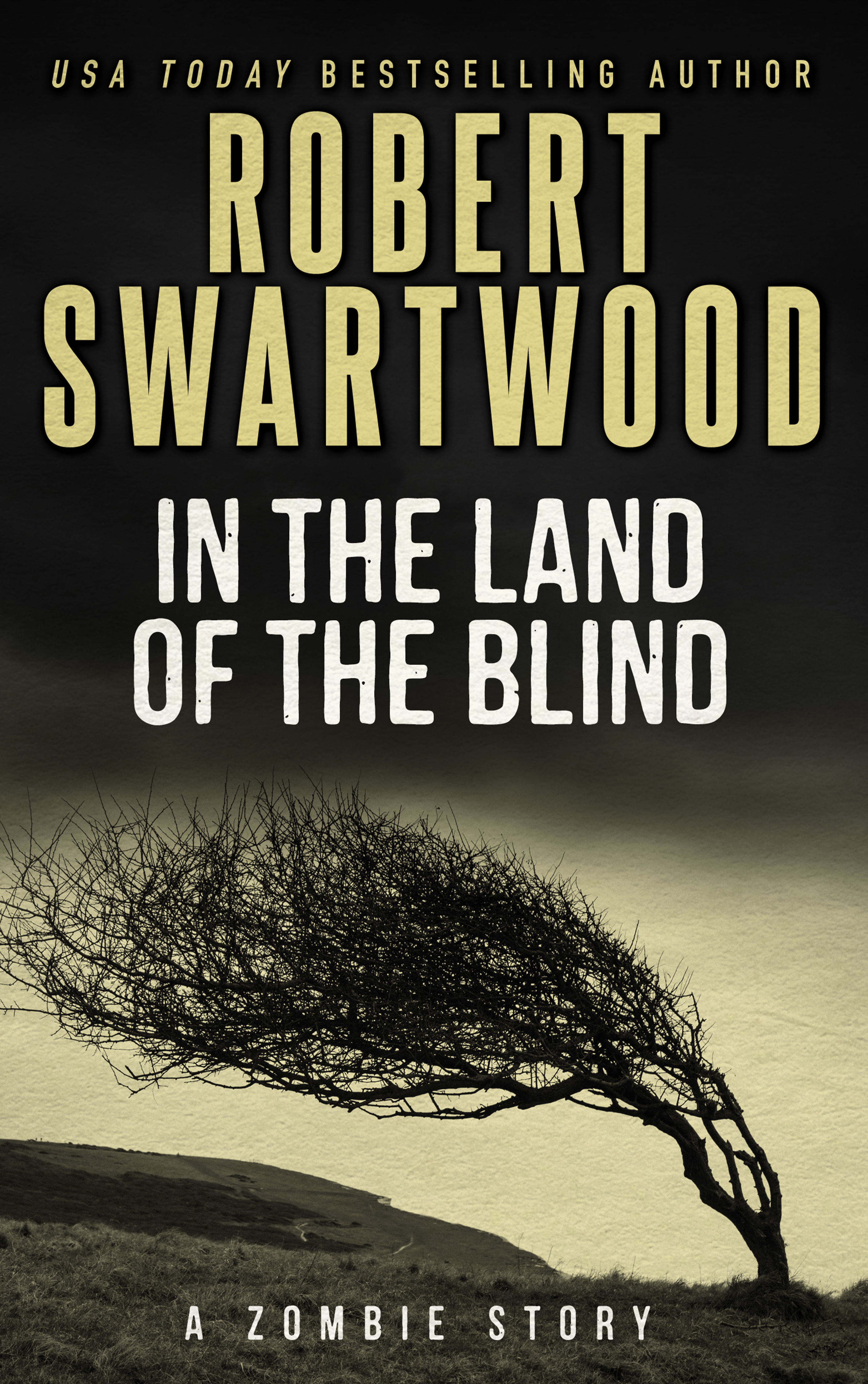 In the Land of the Blind book cover