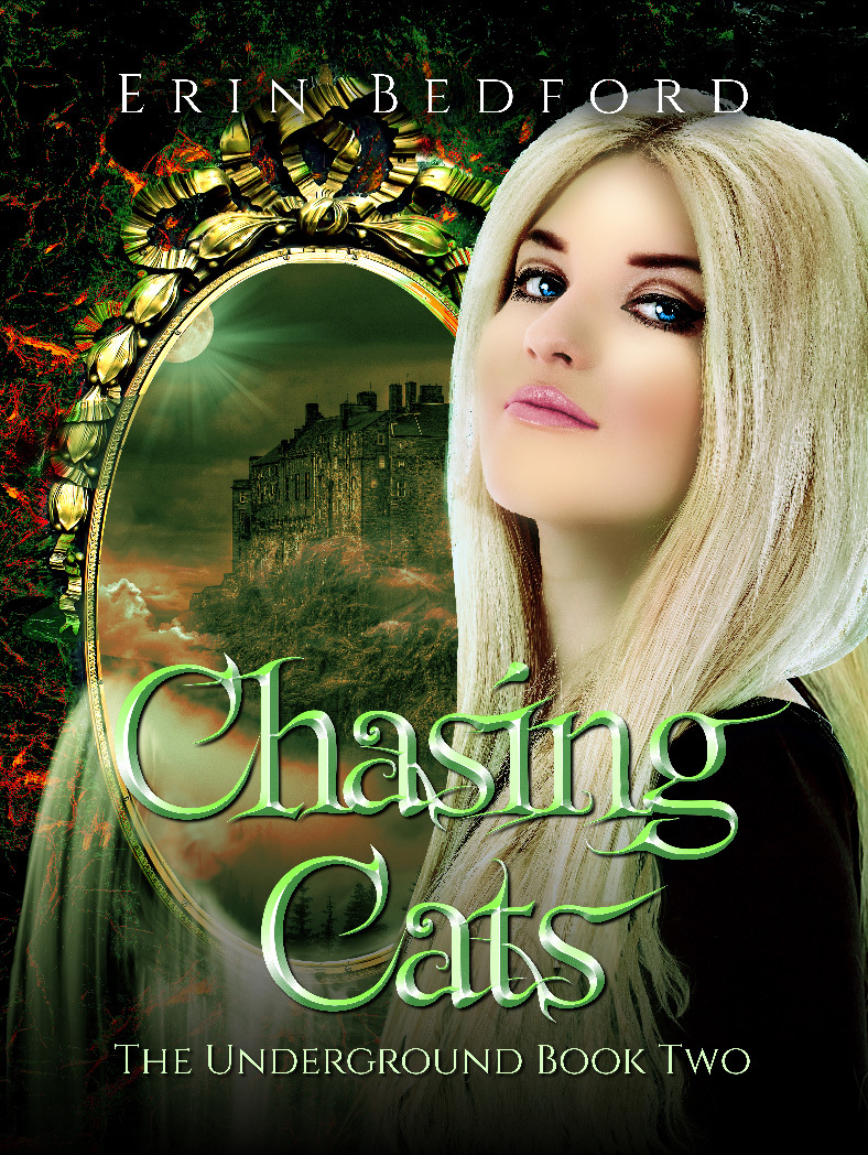 Chasing Cats book cover