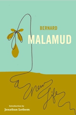 A New Life book cover