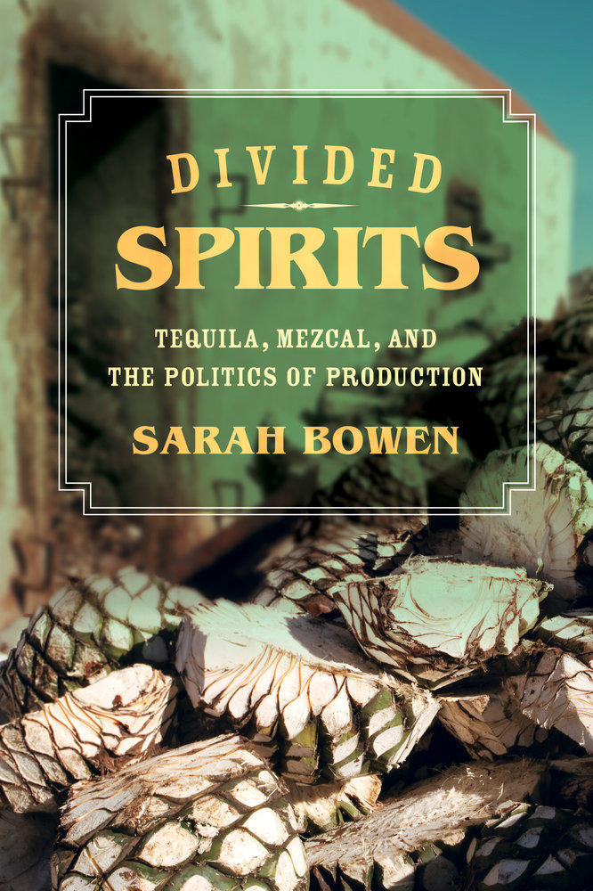 Divided Spirits book cover