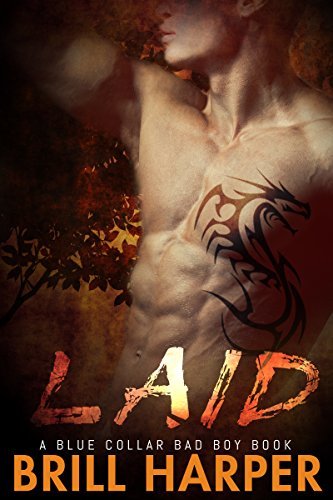 Laid book cover
