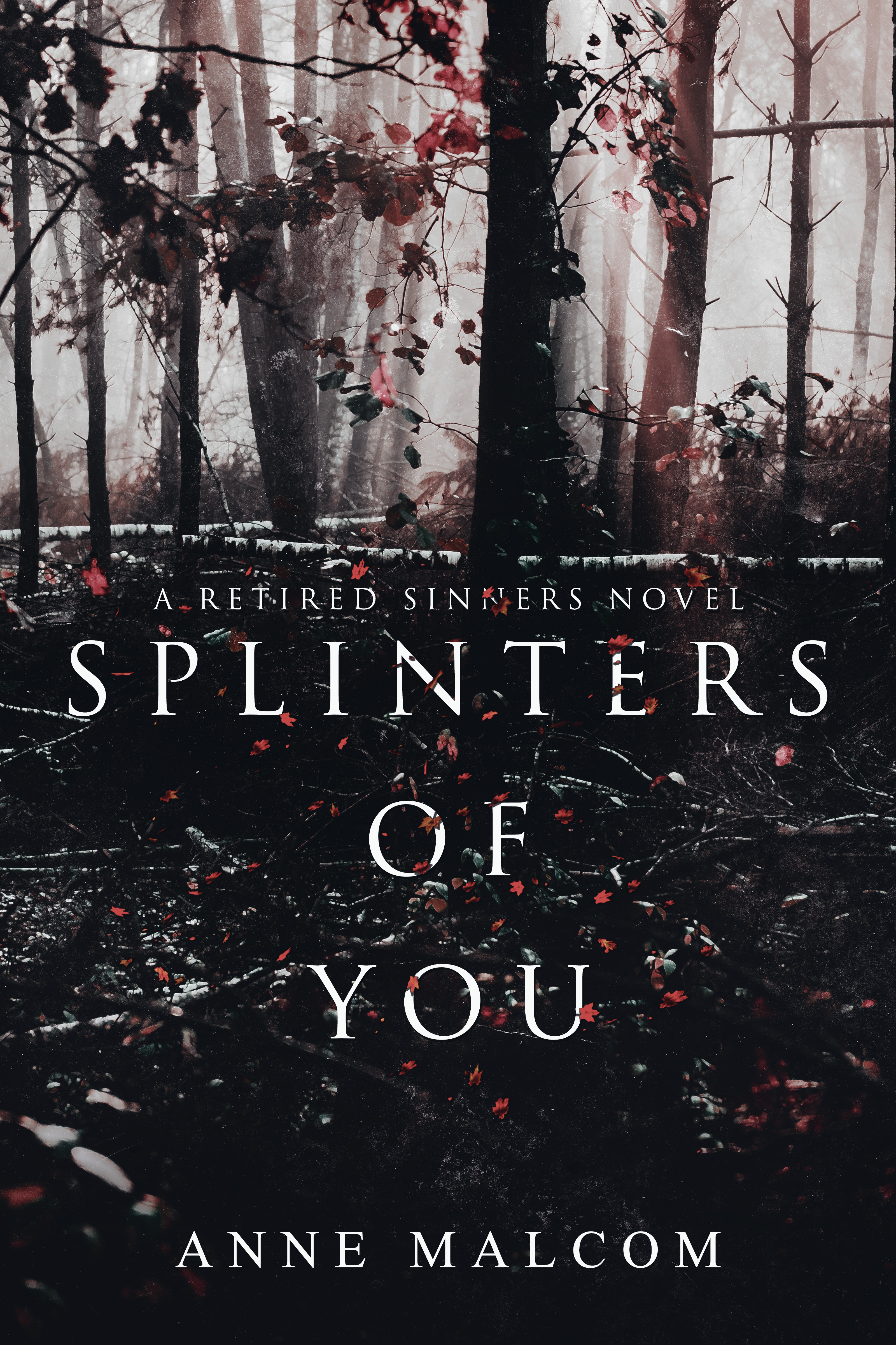 Splinters of You book cover
