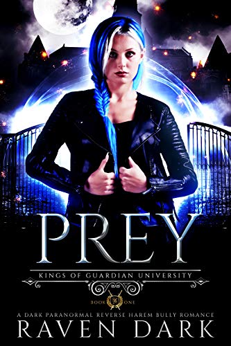 Kings of Guardian University book cover 1