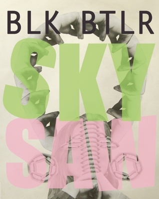 Sky Saw book cover