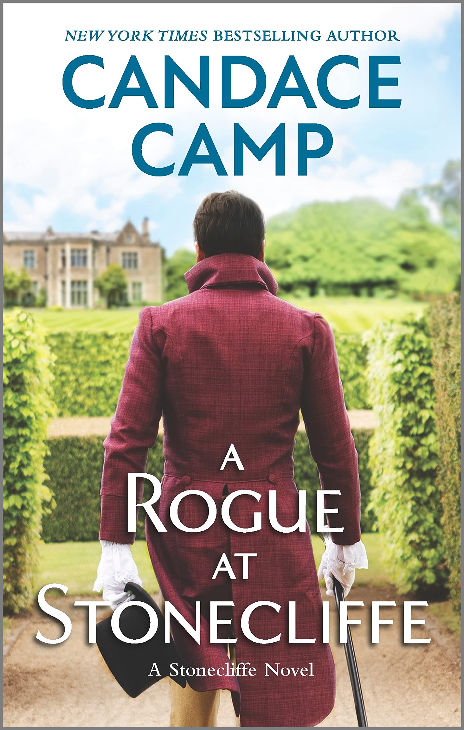 A Rogue at Stonecliffe book cover