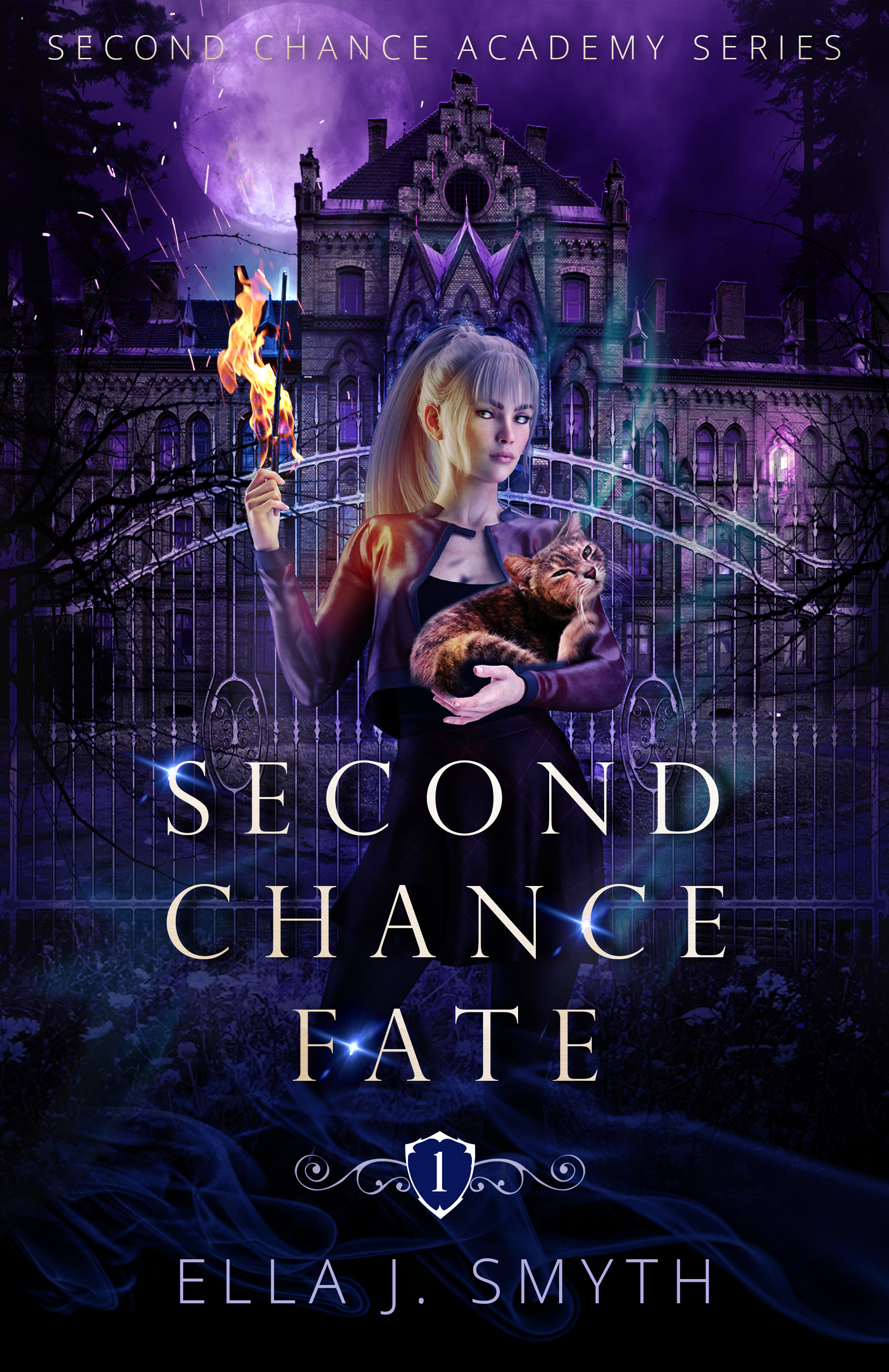 Second Chance Academy book cover 1