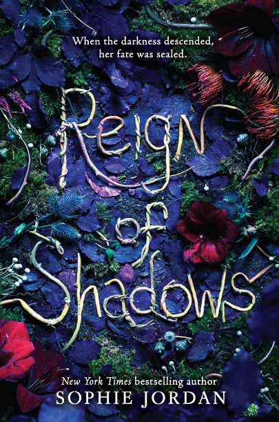 Reign of Shadows book cover 1