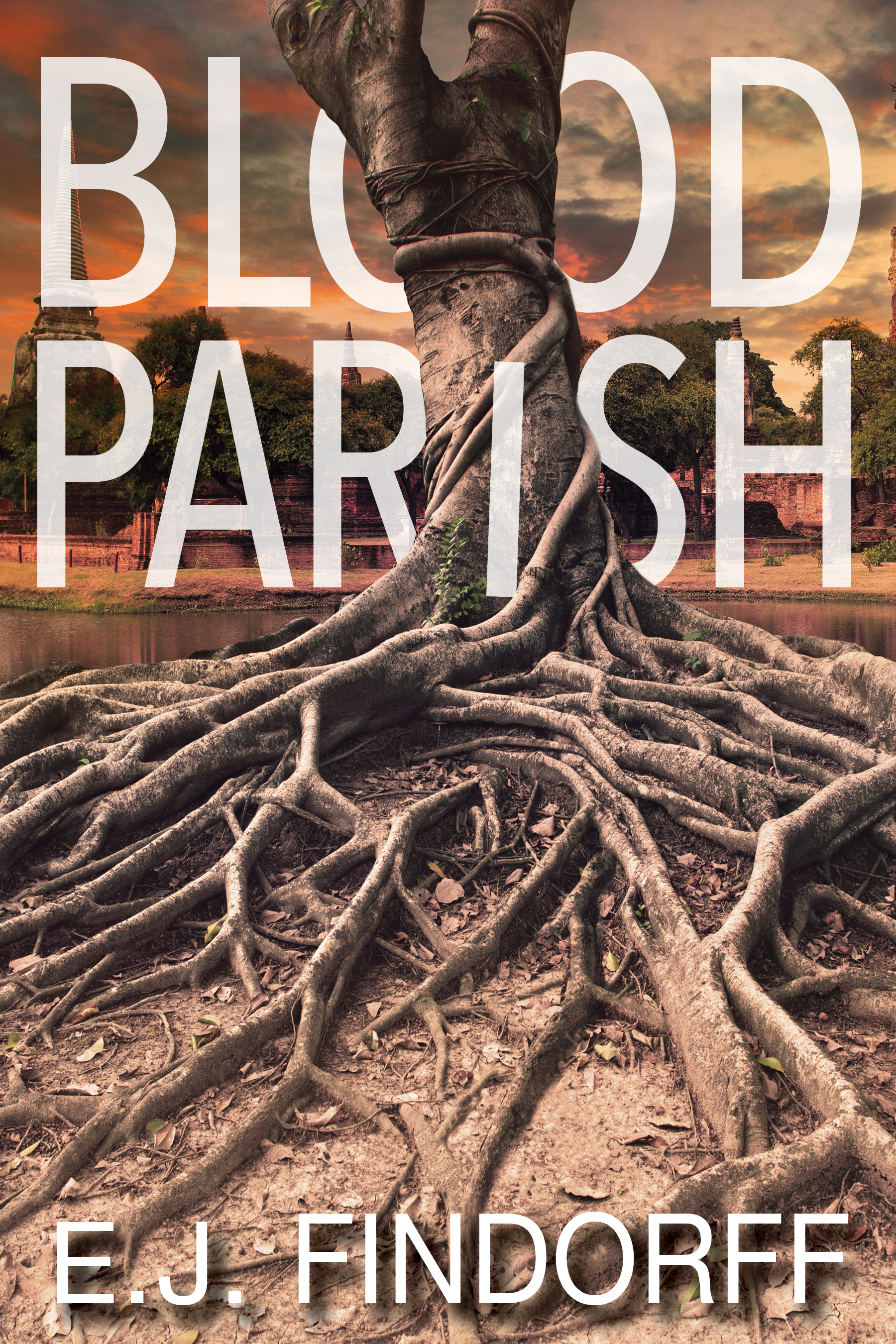 Blood Parish book cover