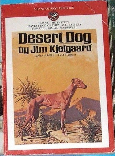 Desert Dog book cover