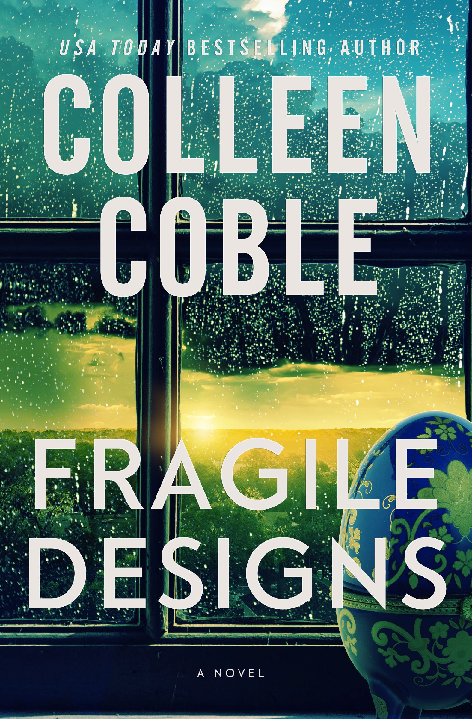 Fragile Designs book cover