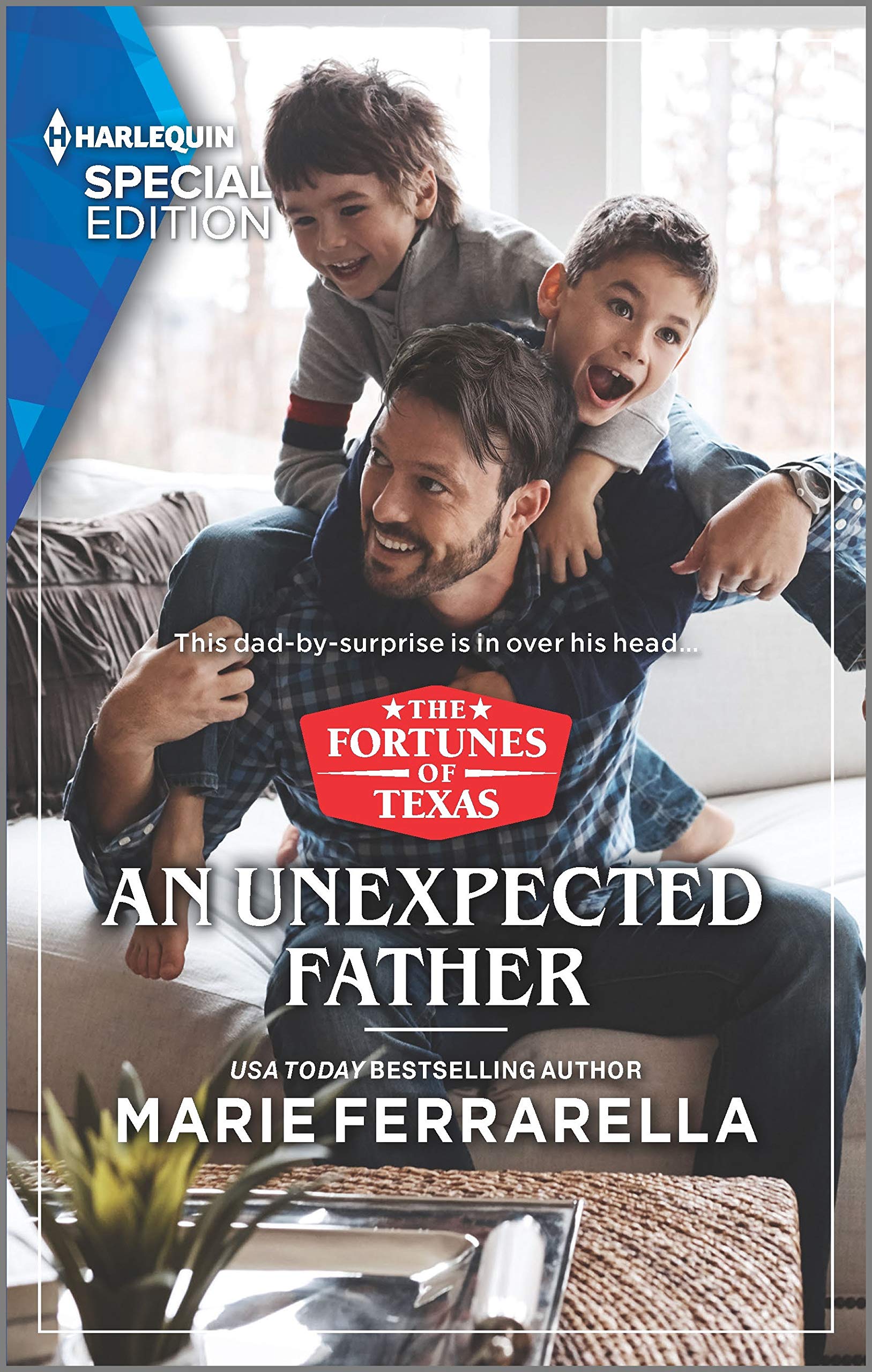 The Fortunes of Texas: The Hotel Fortune book cover 3