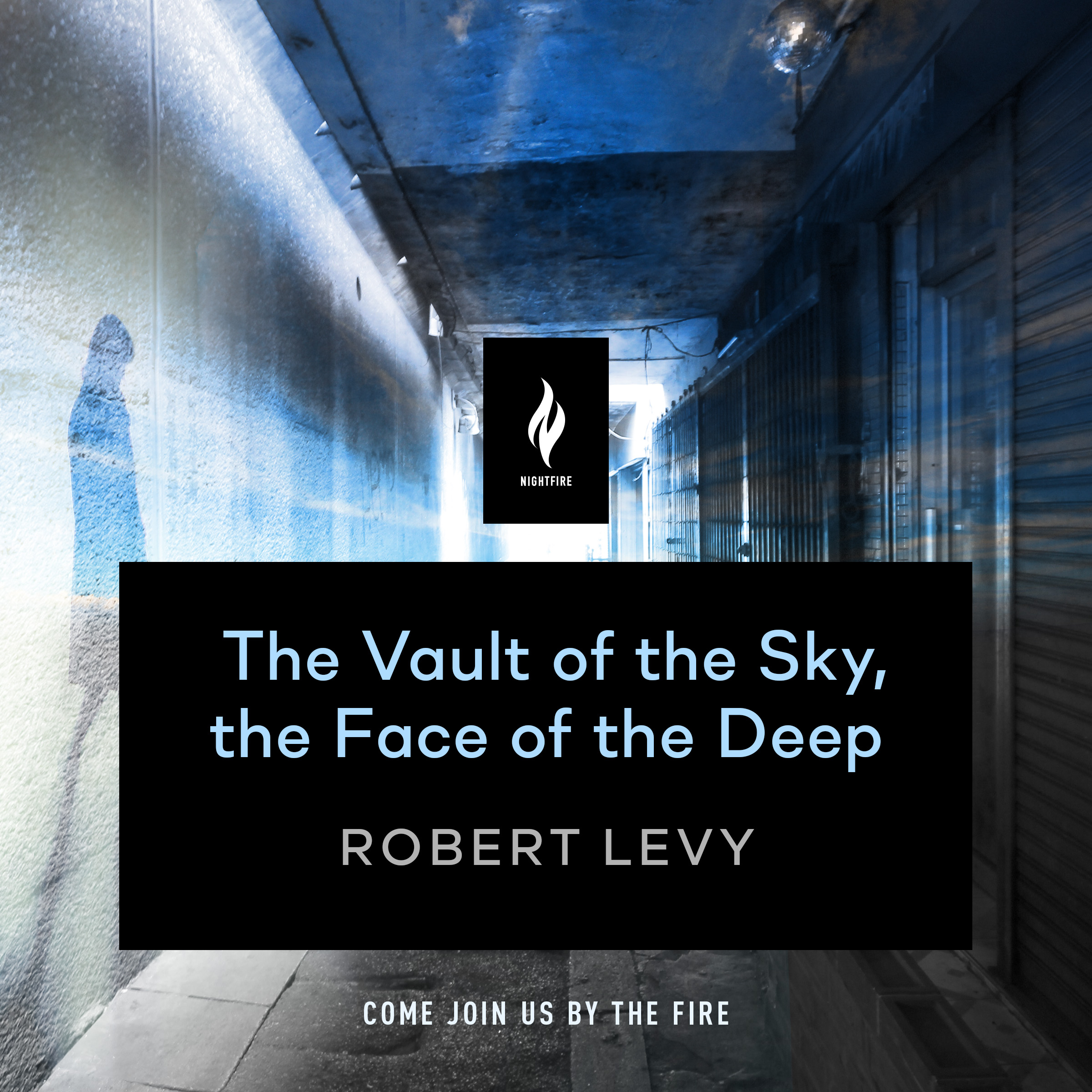 The Vault of the Sky, the Face of the Deep book cover