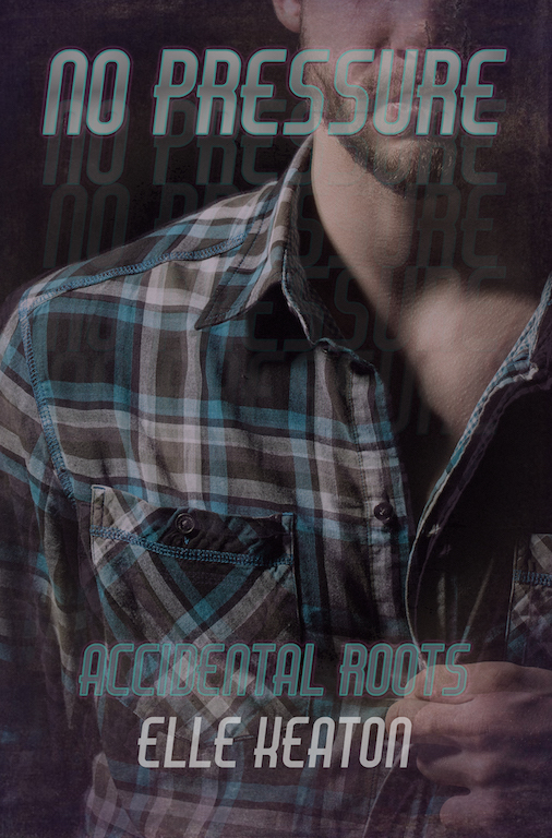 Shielded Hearts book cover 2