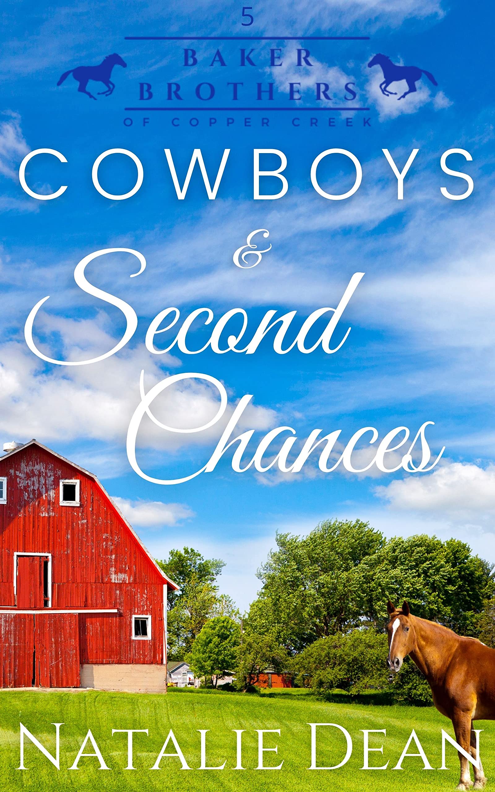 Cowboys & Second Chances book cover