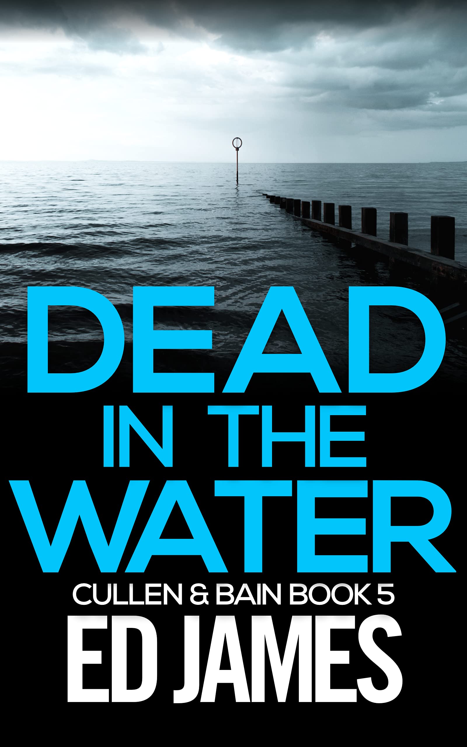 Dead in the Water book cover