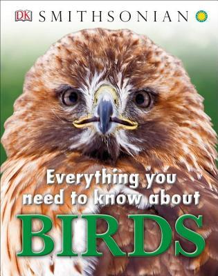 Everything You Need to Know About Birds book cover
