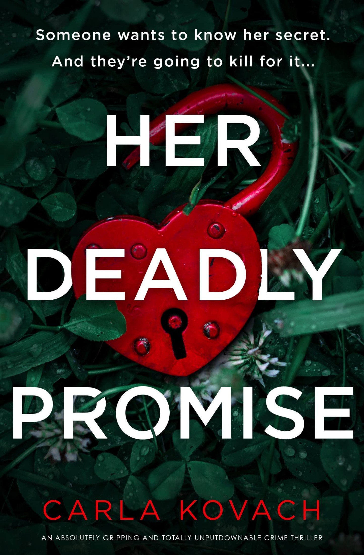 Her Deadly Promise book cover
