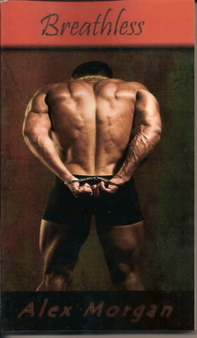 Corey Shaw Mystery book cover 1