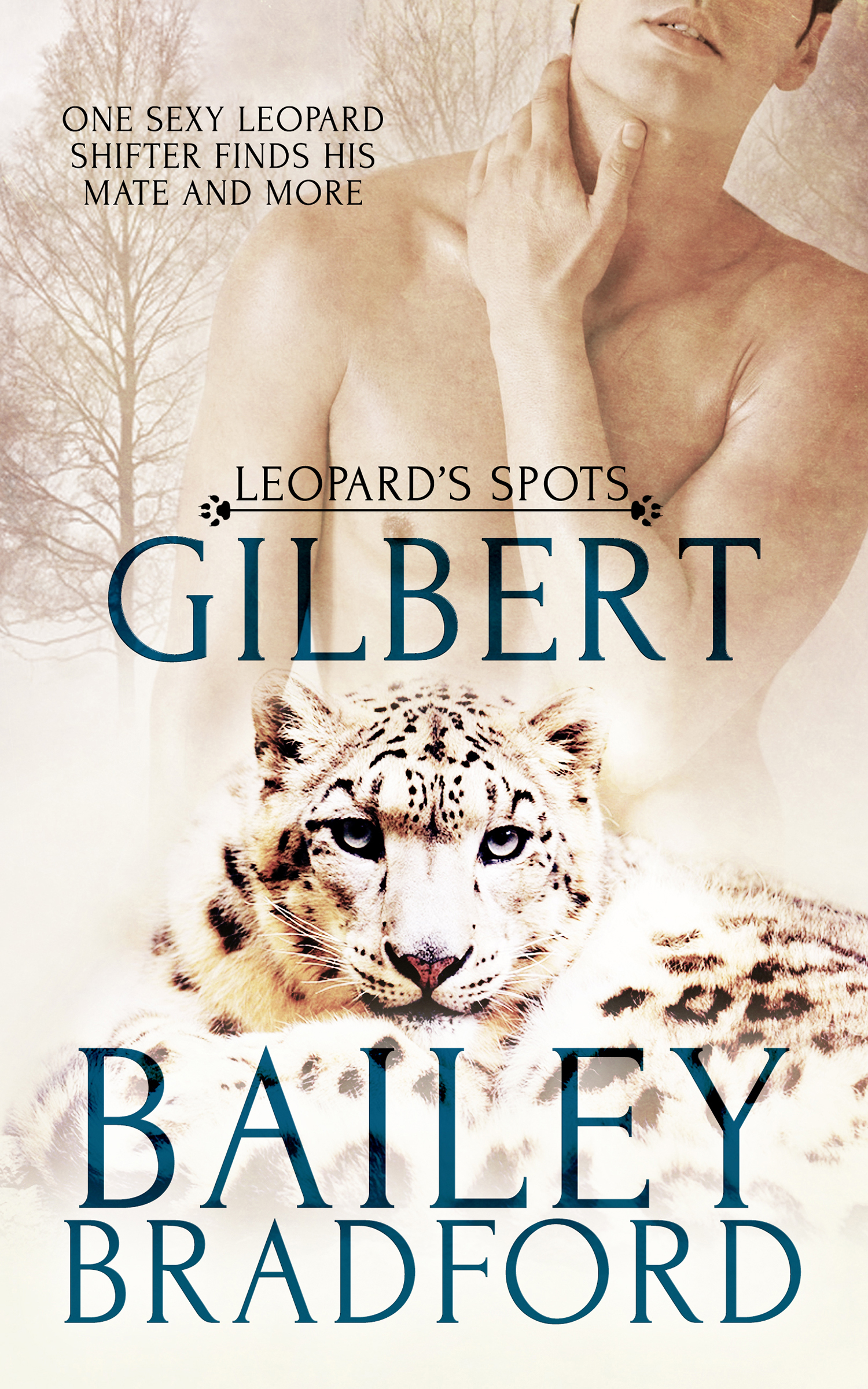 Gilbert book cover