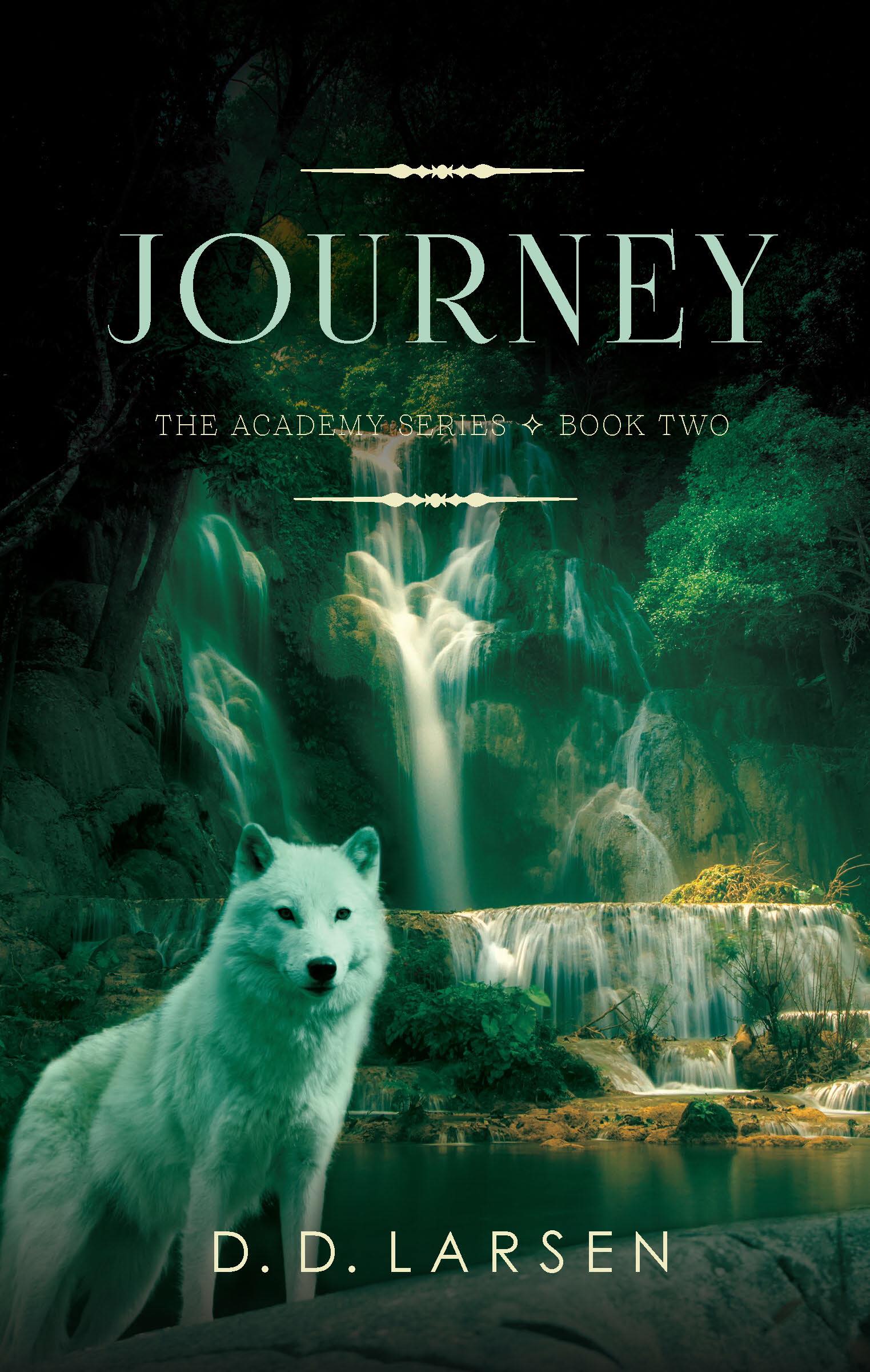 The Academy book cover 2