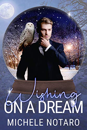 Wishing on a Dream book cover