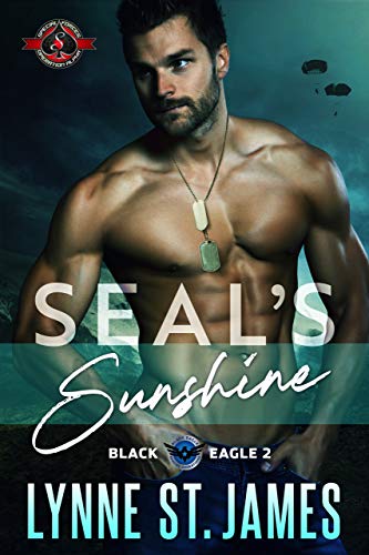 Black Eagle SEAL Team book cover 2