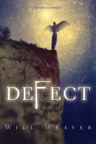 Defect book cover