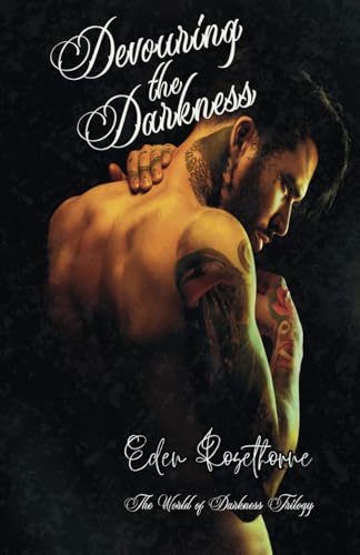 Devouring The Darkness book cover