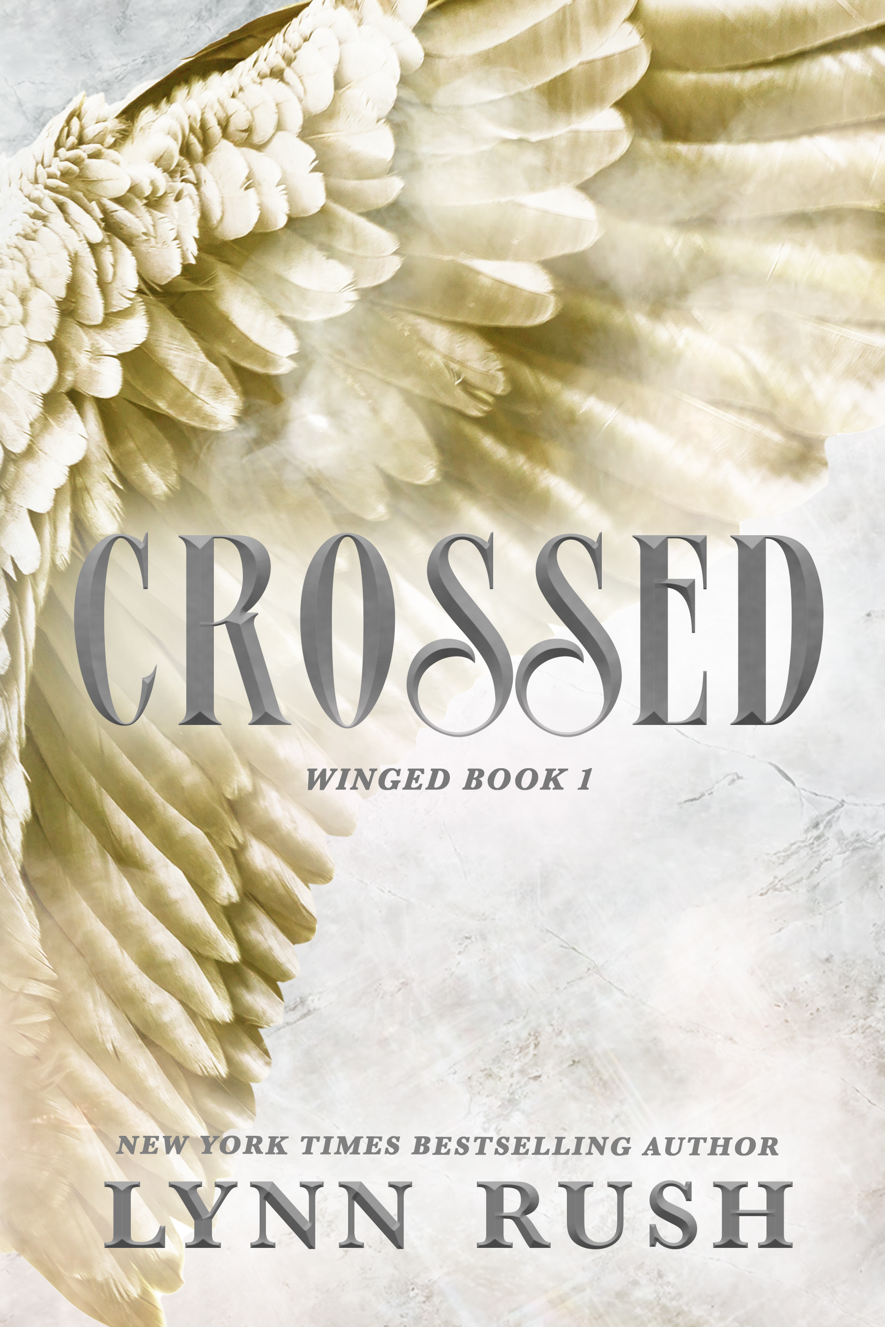 Winged book cover 1
