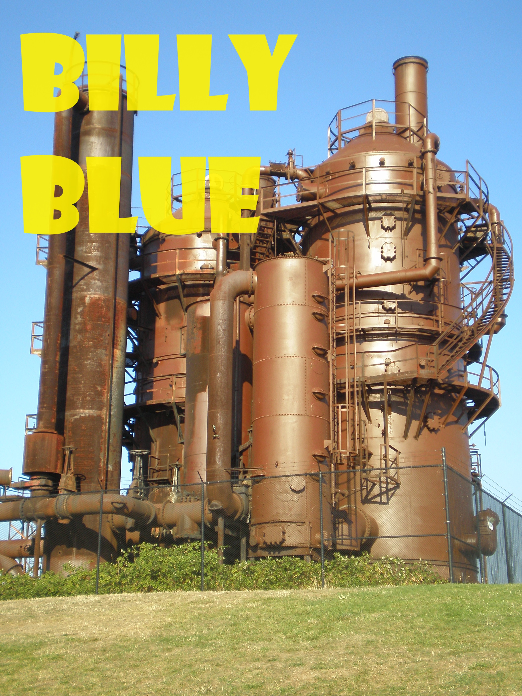 Billy Blue book cover