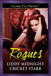 Rogues book cover