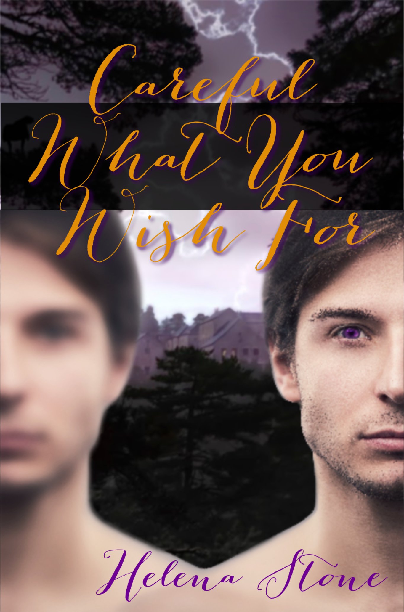 Careful What You Wish For book cover