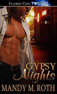 Gypsy Nights book cover