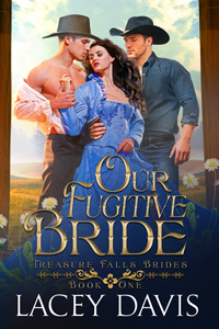 Treasure Falls Brides book cover 1