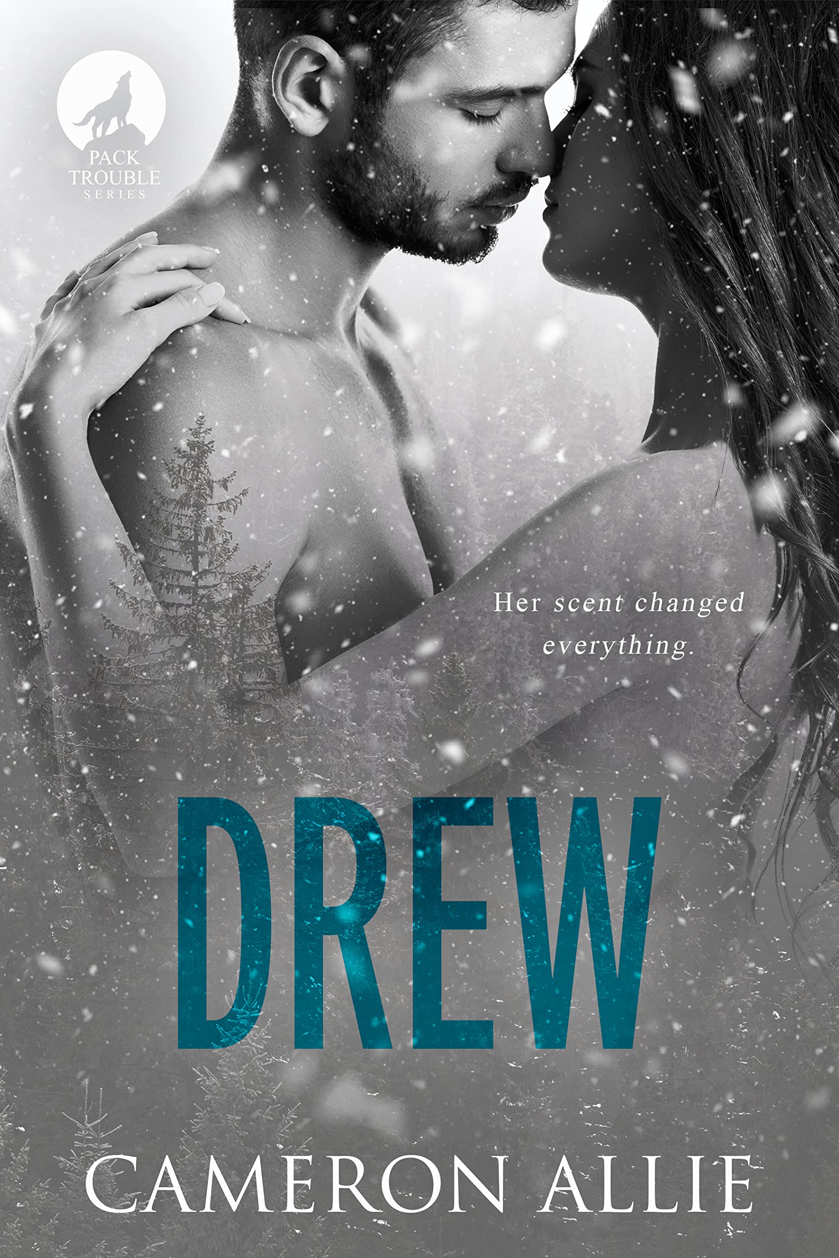 Drew book cover