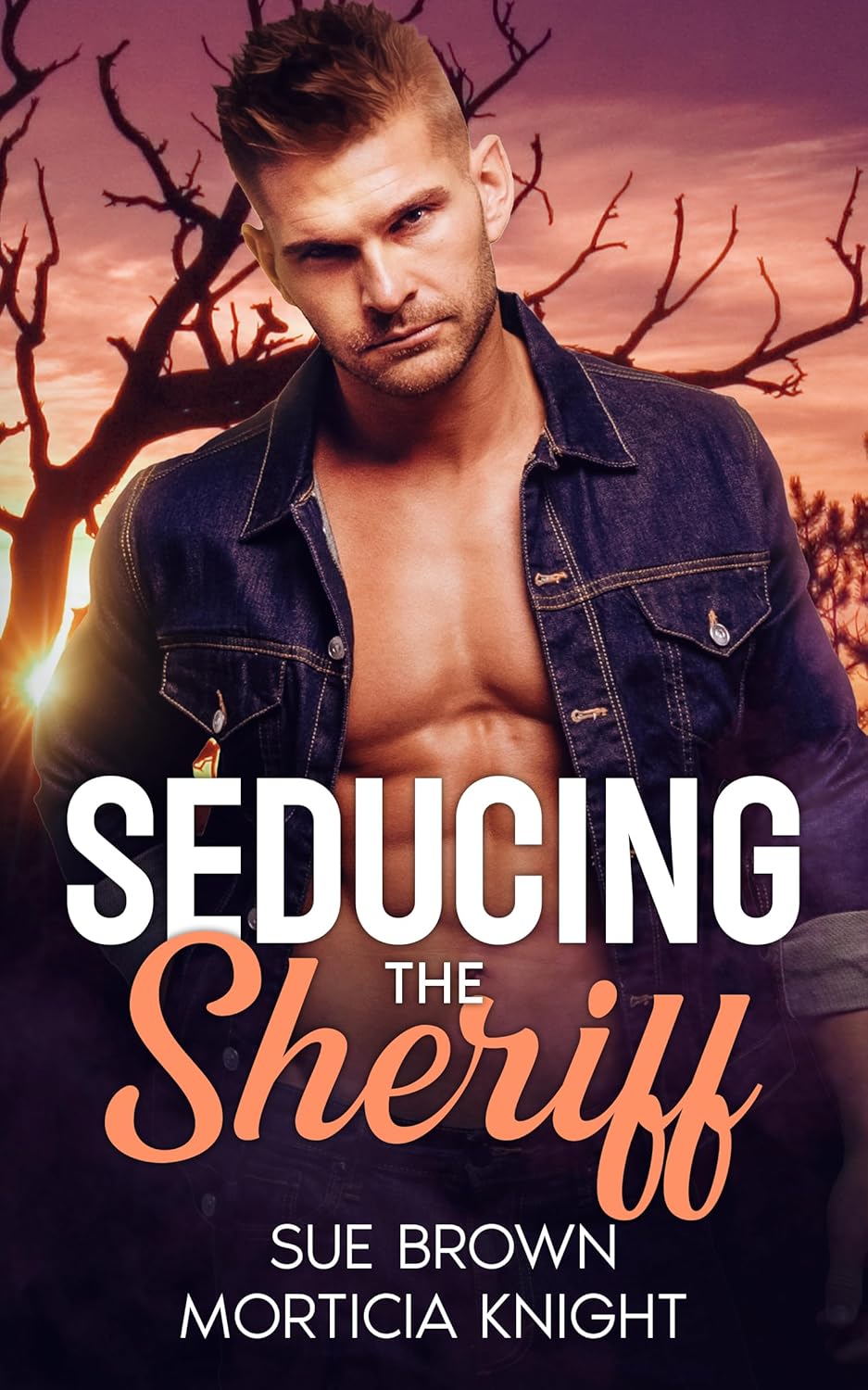Charming Butte book cover 2
