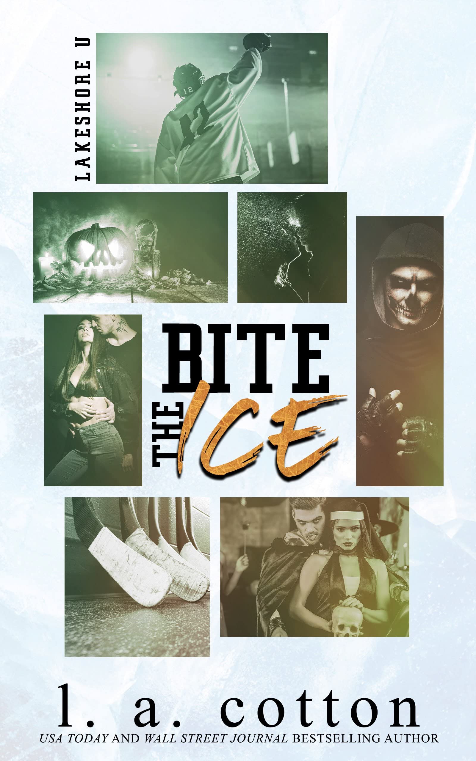 Bite the Ice book cover