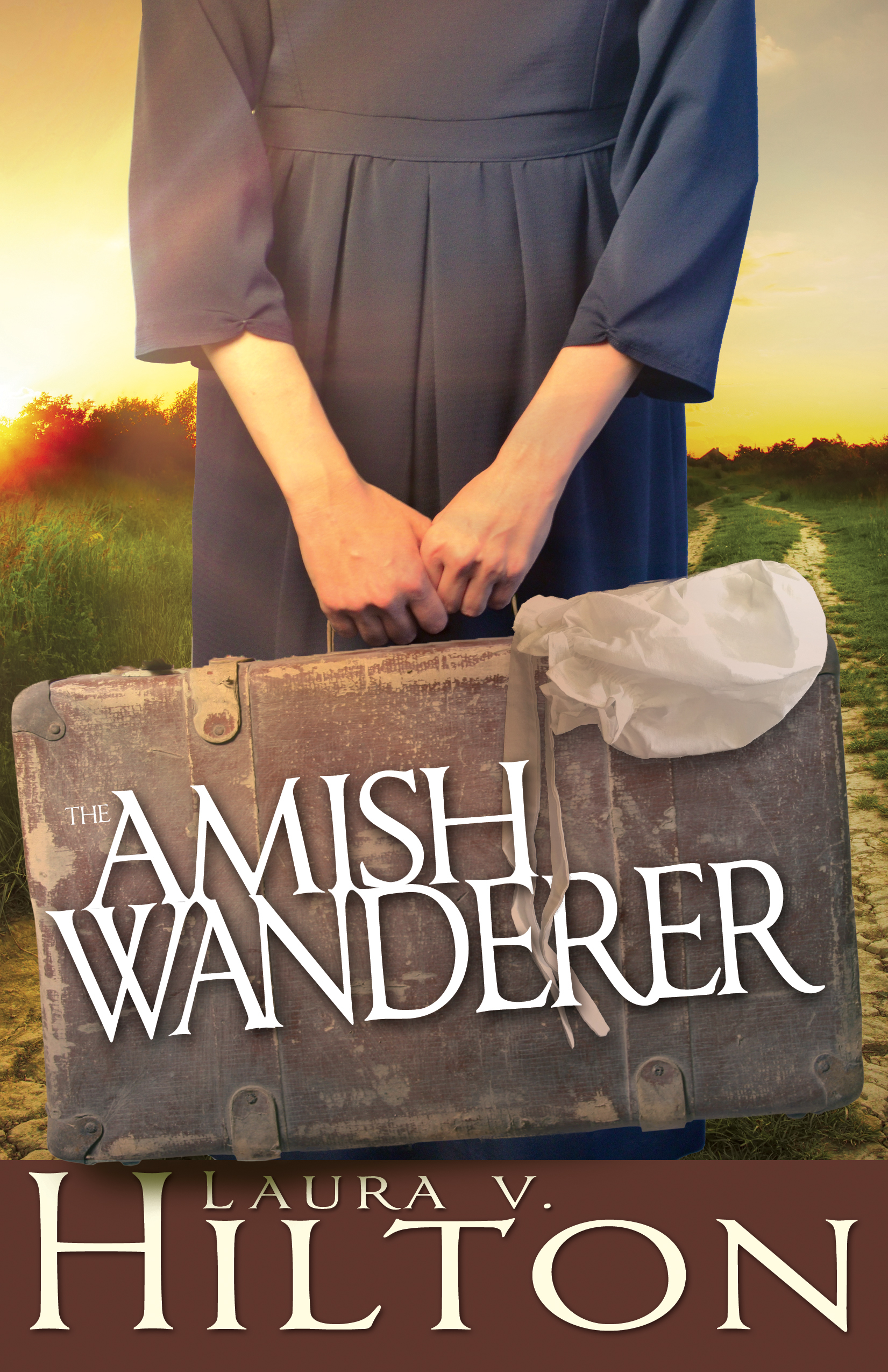 The Amish Wanderer book cover