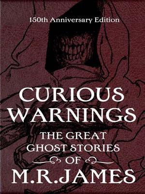 Curious Warnings book cover