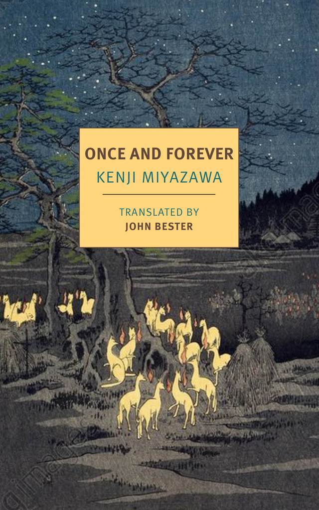 Once and Forever book cover