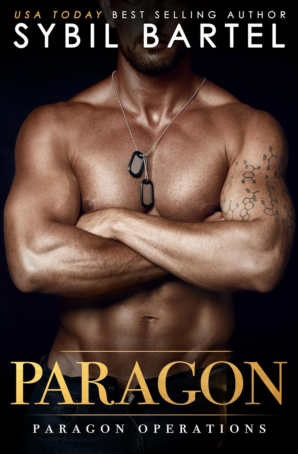 Paragon book cover