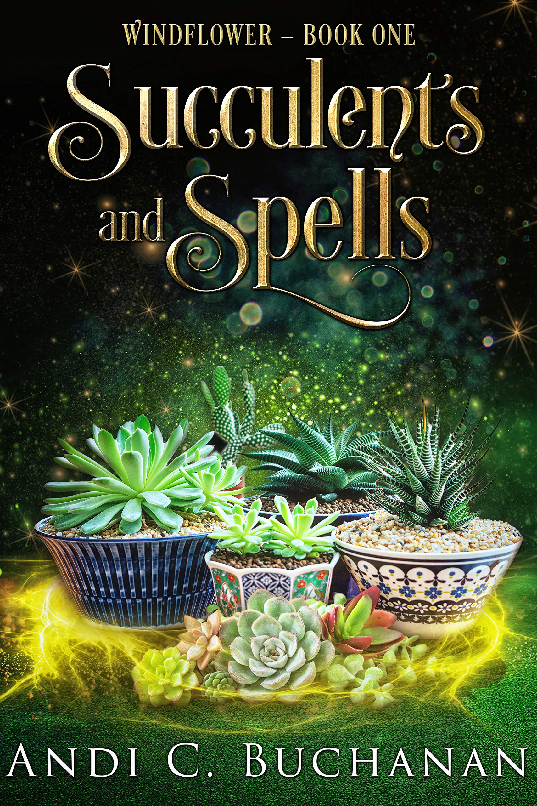 Windflower book cover 1